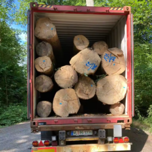 Birch logs