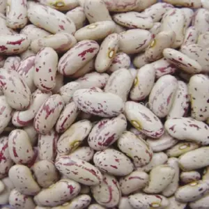 Sparkly Kidney Beans
