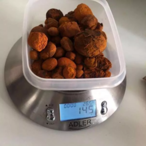 Cow Ox Gallstone